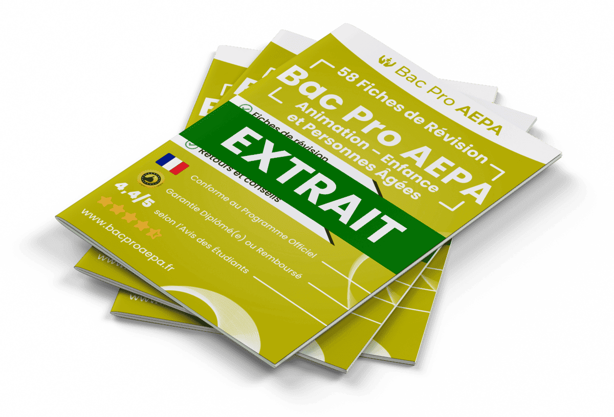 15 Fiches Révision gratuites Bac Pro AEPA