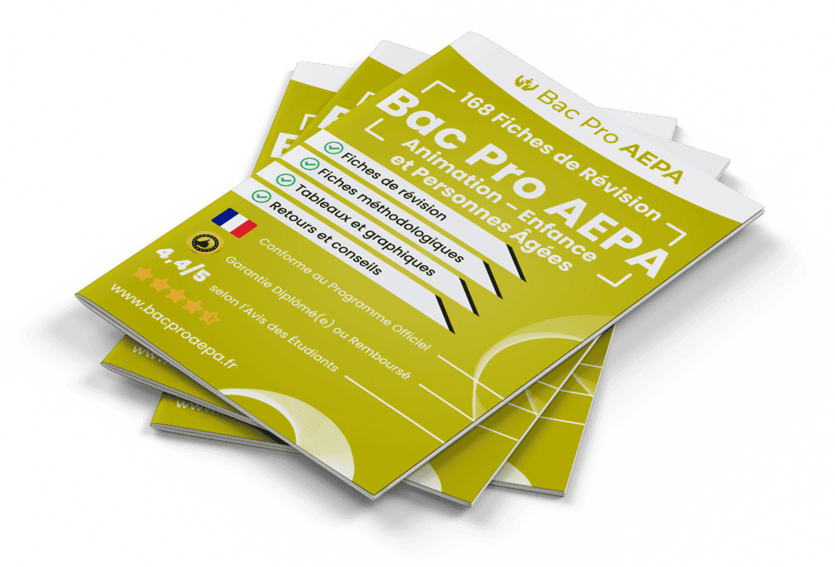 168 Fiches de Révision pour le Bac Pro AEPA